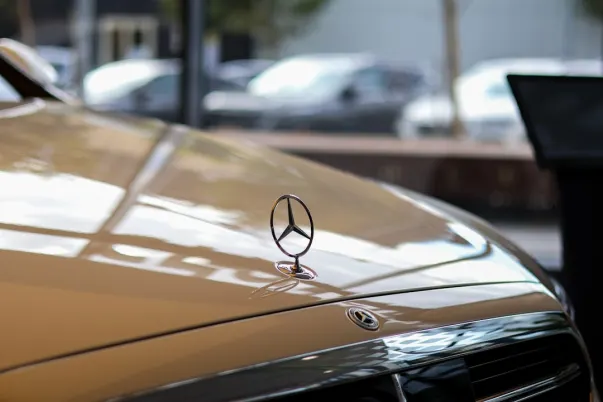 BetCave Casino App Android/iOS